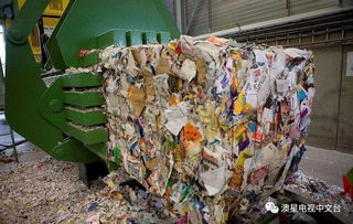 中國禁令之后 澳大利亞垃圾回收系統的挑戰與稻洋農家的轉型之路